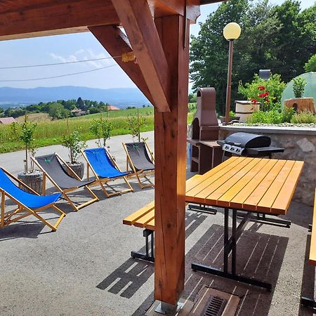 Apartments Jernej With Onsite Wellness Brezice Bagian luar foto